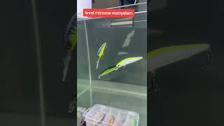 Download lagu Level Minnow Menyelam mp3