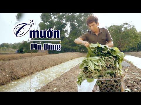 Ở mướn - Phi Bằng