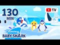 FREEZE Who Made Daddy Shark Into An Ice Compilation Hide N Seek Episodes Baby Shark Official