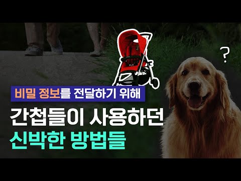 「간첩」의 한국수어 표현