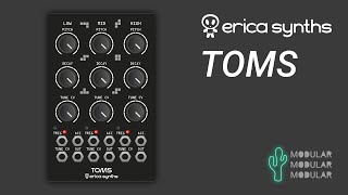 Video thumbnail for Erica Synths Toms - Audio demo by modularmodularmodular