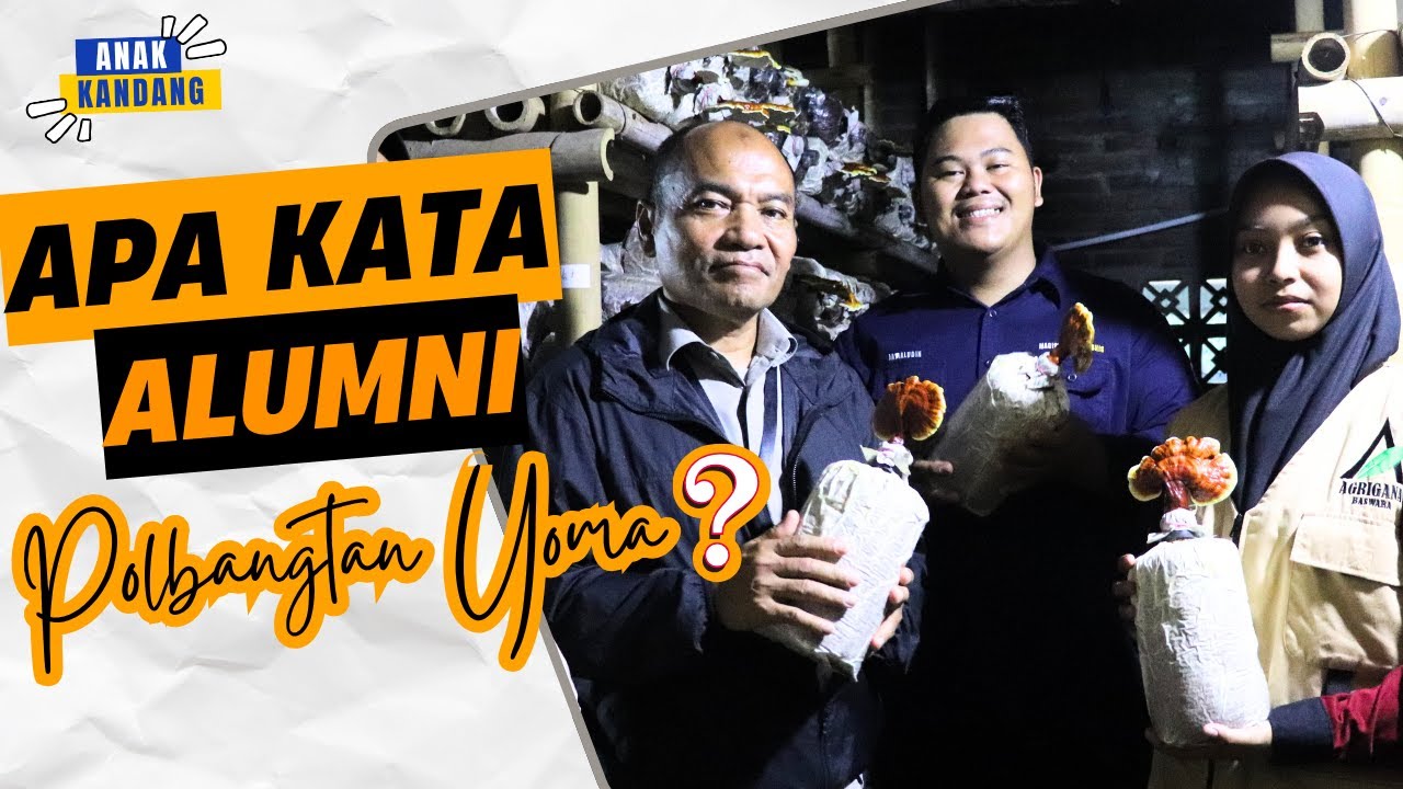 Anak Kandang Eps 23: Apa Kata Alumni Polbangtan Yoma?