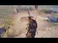 Assassin S Creed Origins African Lion Vs Nile Crocodile