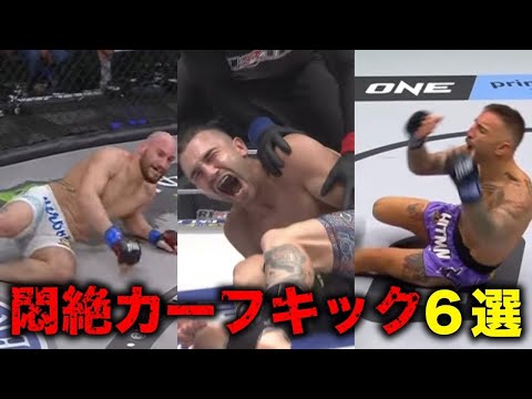 【閲覧注意】相手の足を破壊したエグすぎるカーフキック6選【格闘技解説】