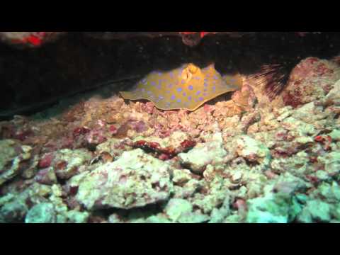 Wonders of Weh - Indonesia [HD]