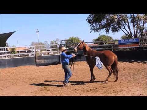 14 Katherine Outback Experience Tom Curtain 3