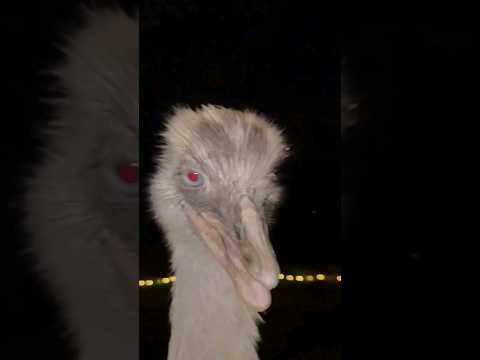 Kevin Has Been Warned...