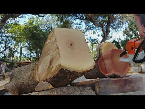 STIHL 064 AV  20" race chain