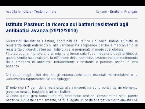 Che si può mangiare e fare nella prostata Prodotti nocivi con cancro alla prostata