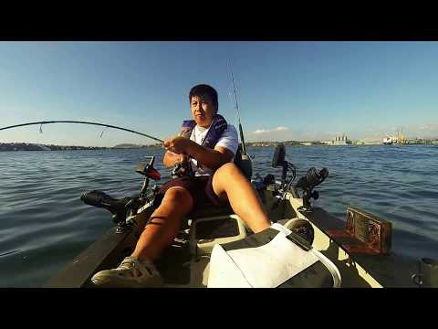 Port Kembla kayak kingfish