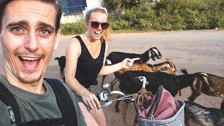 Biking in Cambodia is CRAZY! (Siem Reap, Cambodia)