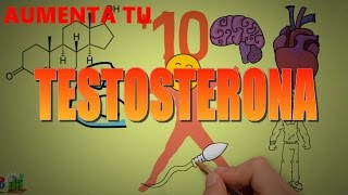 Aumenta tu testosterona naturalmente - La hormona del éxito? - animado
