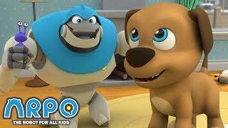 사고뭉치 강아지 ・ 재미있는 어린이 만화! ・ 로봇알포 Arpo The Robot