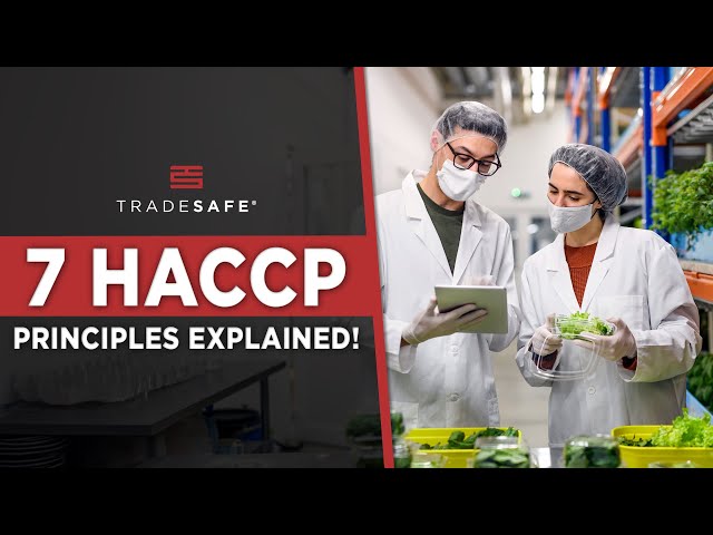 Understanding Haccp The 7 Principles Of Food Safety Galaxy Ai