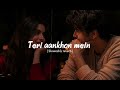 Teri Aankhon Mein Slowed Reverb Lofi Song Chill Night Vibe