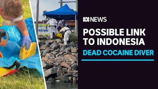 Police probe whether Indonesian drug haul is linked to NSW's dead cocaine diver | ABC News