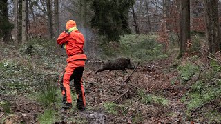 SCHWERER KEILER auf wenige Meter | Drückjagd auf Sauen in der Schlucht (CopterPro Jagd)