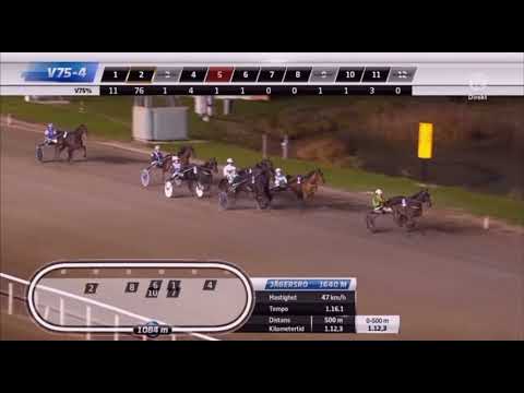 Svenskt Uppfödningslöpning 2021 - Tetrick Wania