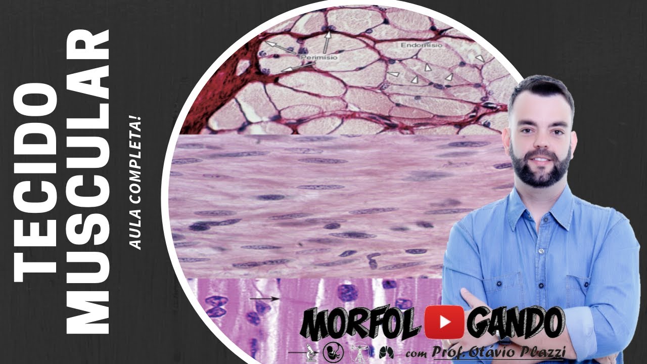 Tecido Muscular (Aula Completa) - Prof. Otávio Plazzi