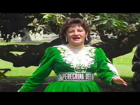 PEREGRINA DEL RIMAC - MIS LAMENTOS