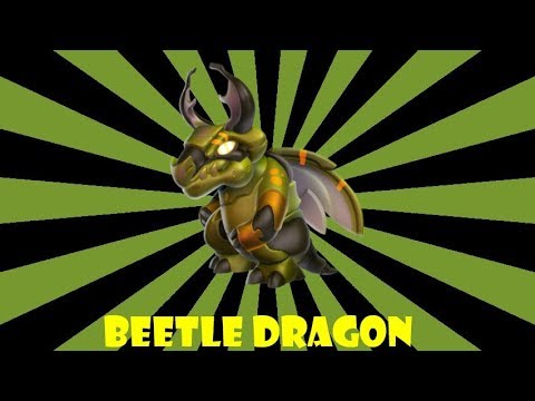 How to breed Beetle Dragon | Hatching Twilight Dragon | Dragon mania legends |