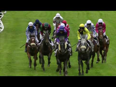 PE, 25. 5. 2019, 8. dostih - Cena Arnošta z Pardubic – podporovaná Dopravním podnikem města Pardubic