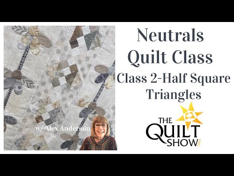 Alex Anderson LIVE - Neutrals Class #2 - Making the Half Square Triangles