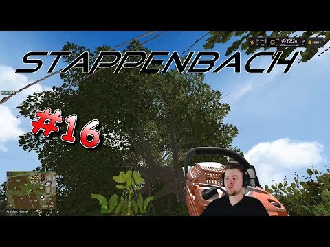 LS17 Stappenbach [16] Jenz Häcksler im Einsatz