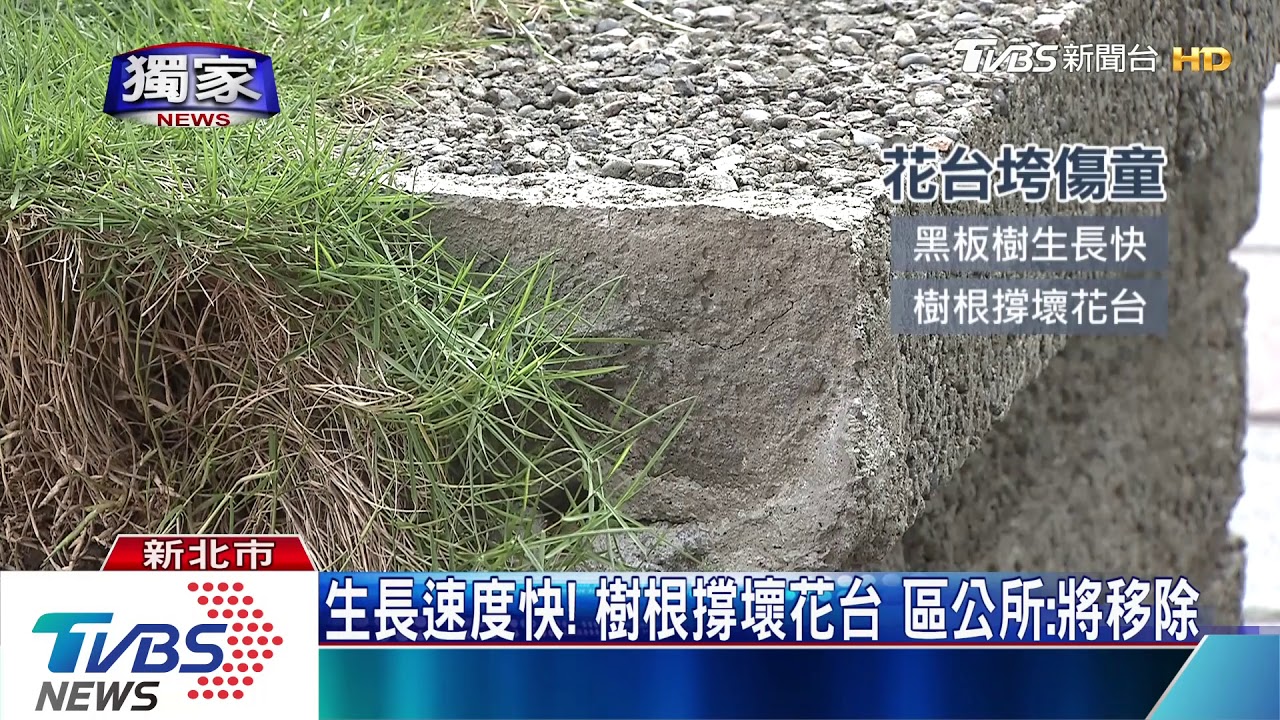 嚇壞了!路邊「花台突垮」 2童擦傷、腳縫5針