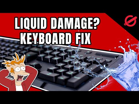 download lagu mp3 mp4 Dry Keyboard, download lagu Dry Keyboard gratis, unduh video klip Download Dry Keyboard Mp3 dan Mp4 Free All Gratis