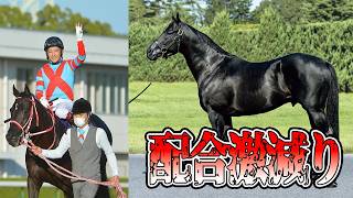 ディープ後継種牡馬コントレイルの配合頭数が激減りした理由を解説