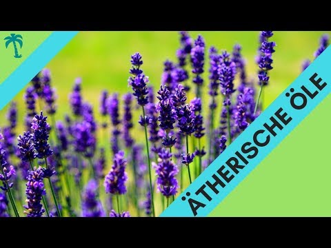 Wie man Lavendel einsetzt - ÄTHERISCHE ÖLE