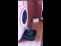 Cat Jumping Inside Washing Machine