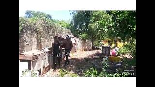 Alkaline- object bingo // Deadly Dynamic Dancers "Choreograph"