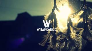 Silver Firs - Icarus