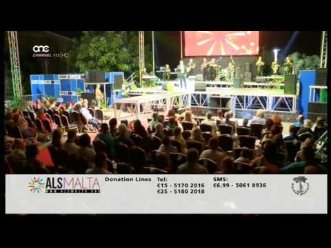 Christian Arding - Summer of 69 on Inmates4als Concert 2016  #inmates4als