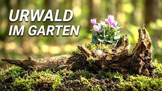 Mein Naturgarten - vom Wald inspiriert (Urwald Großer Arbersee)
