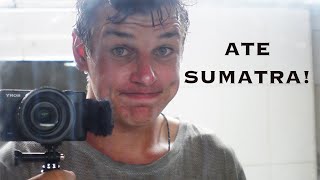Sumatra užbaigta! Kitas etapas: Java