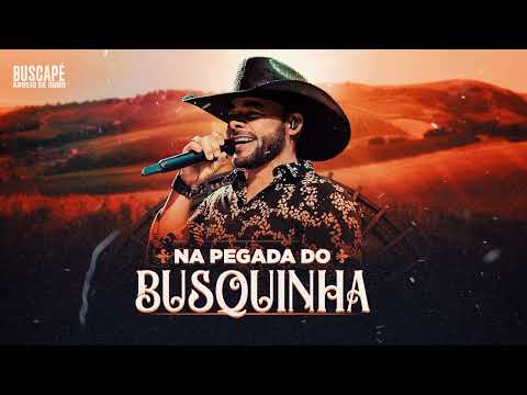Buscapé Arreio de Ouro - Sonho Colorido (CD Na Pegada do Busquinha)