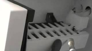 Frigidaire Refrigerator with Top Mount Freezer Icemaker