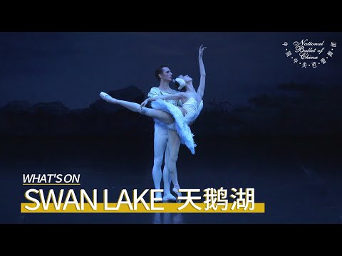 Swan Lake in Tianqiao Theater: “The Swan Lake Performance Tonight is Remarkable in the World!”
