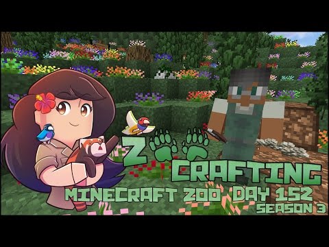 A Gardener and His Cats Among the Nemesias!! 🐘 Zoo Crafting: Episode #152