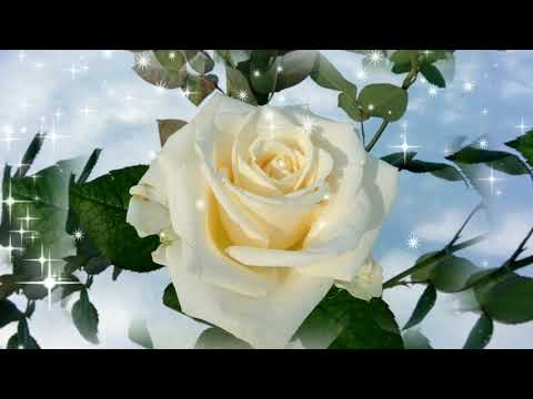 С Днем Рождения !