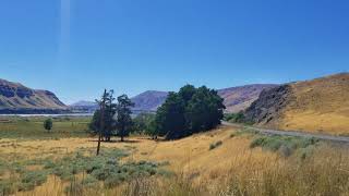 &#39;El Camino&#39; WEEN