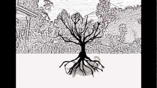 Taylor Project - Whiskers in the Wall