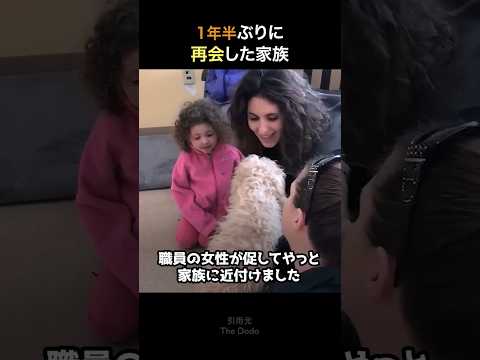 １年半ぶりに家族と再会した犬