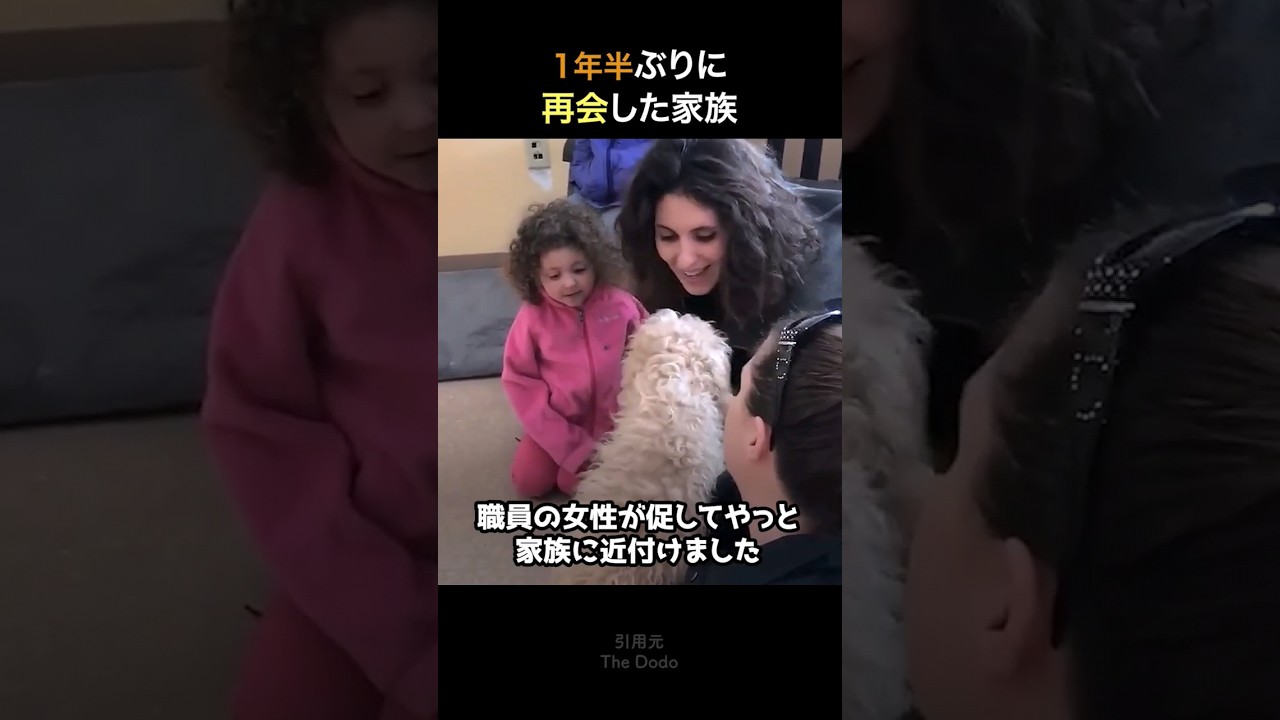 １年半ぶりに家族と再会した犬
