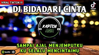 Download lagu Dj Bidadari Cinta | Sampai Ajal Menjemputku Ku Selalu Mencintaimu | Remix Tiktok Viral mp3