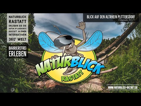 Naturblick Rastatt - Blick auf den Altrhein