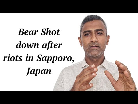Bear shot down after riots in Sapporo, Japan